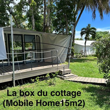 Le Cottage De Castaing Sur Plage Privee Sainte-Anne  Bagian luar foto