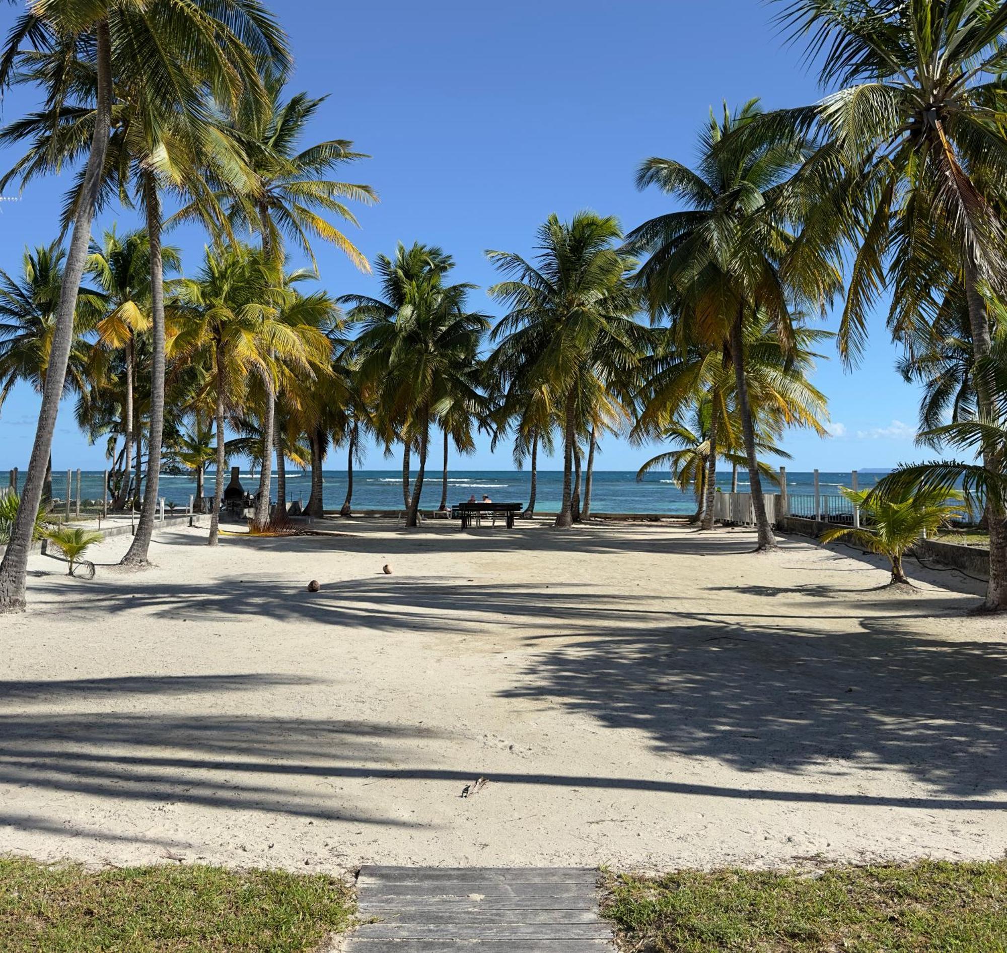 Le Cottage De Castaing Sur Plage Privee Sainte-Anne  Bagian luar foto