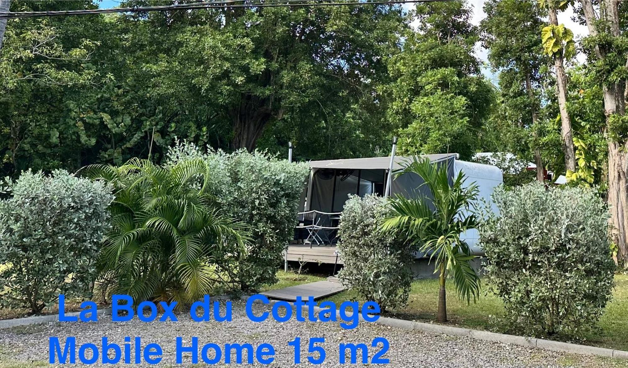 Le Cottage De Castaing Sur Plage Privee Sainte-Anne  Bagian luar foto